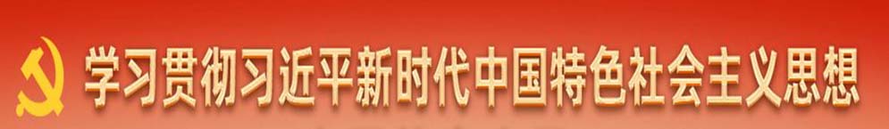 學(xué)習(xí)貫徹新時(shí)代中國(guó)特殊社會(huì)主義思想